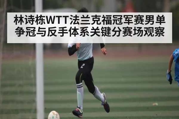 林诗栋WTT法兰克福冠军赛男单争冠与反手体系关键分赛场观察 - Kaiyun sports