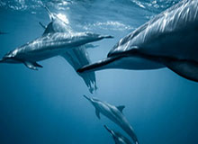 开云体育官网-WADA前主席里迪去世，享年84岁|世界反兴奋剂机构|考文垂足球俱乐部|世界羽联|冬奥|羽毛球_新浪体育_新浪新闻